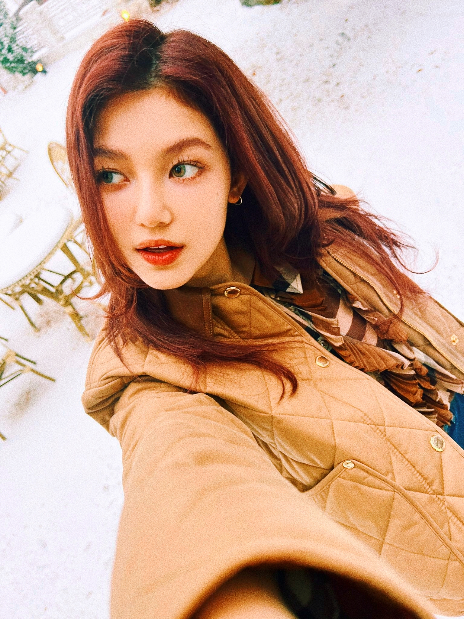 [잡담] 와.. ㅍㄷ 짱이다 필름카메라 고냥 나타나버림 | 인스티즈