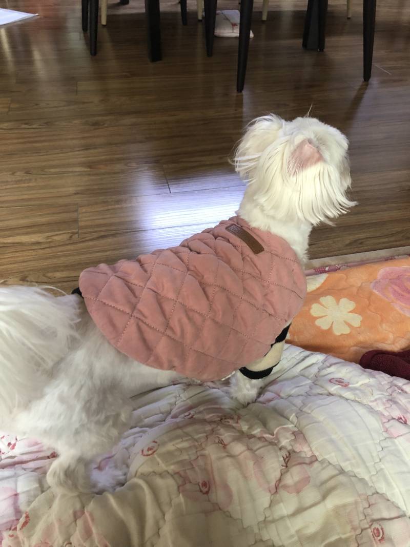 울애기 사진 | 인스티즈