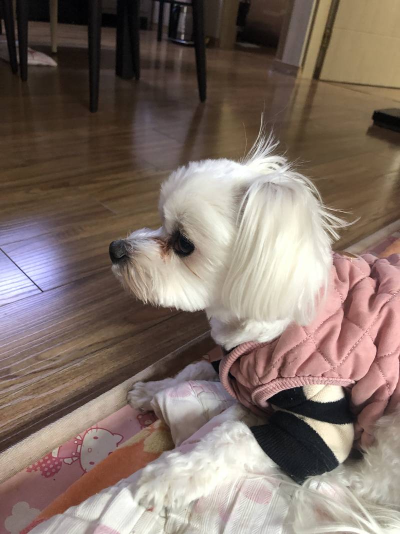 울애기 사진 | 인스티즈