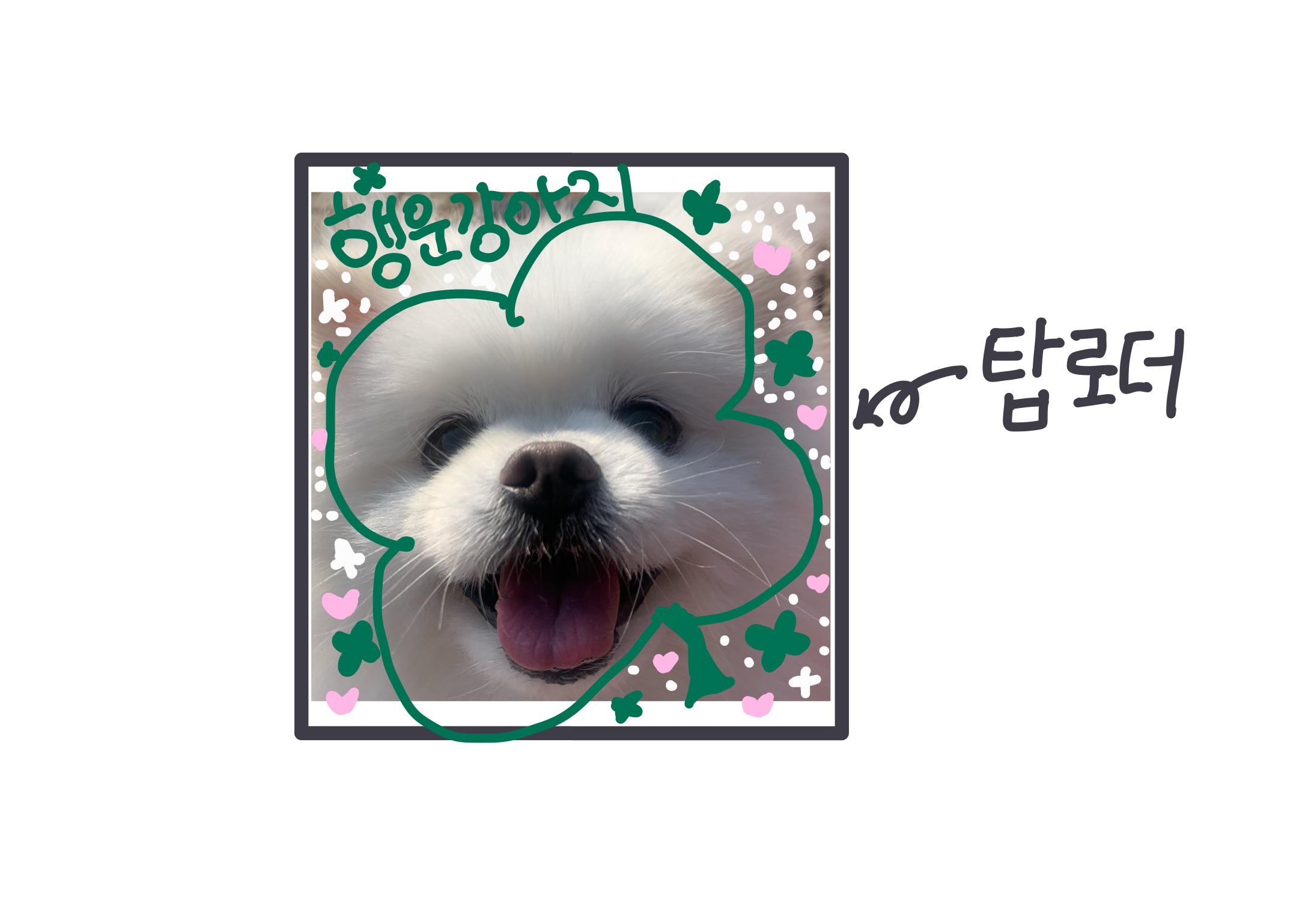 [잡담] 혹시 이런 탑로더 어디서 구매하는지 아는사람 있을까요?? | 인스티즈