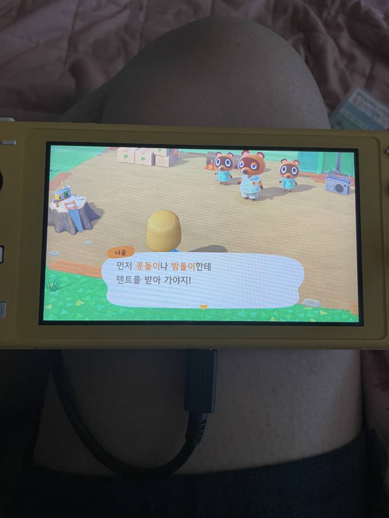 나도이제 동숲있다 | 인스티즈