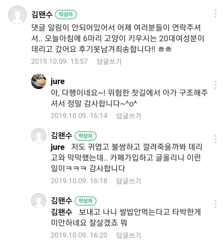 아 완전 귀엽다ㅋㅋㅋㅋㅋ 구조해서 데려온 고양이가 밥을 안 먹는대ㅋㅋㅋ | 인스티즈
