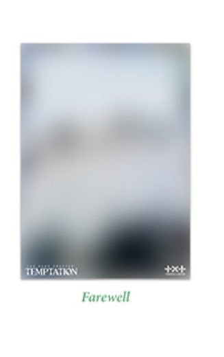 [잡담] 아니 이게 다 한 컨셉의 컨포래 | 인스티즈