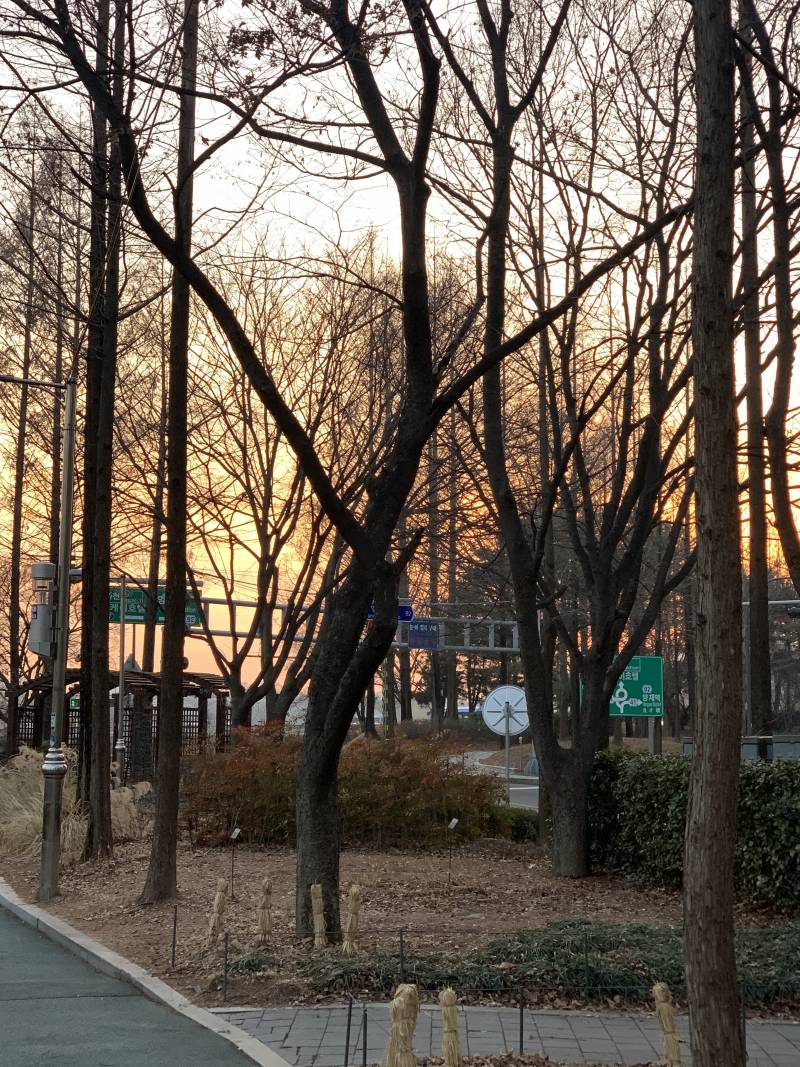 머리 중단발레이어드컷 할까 말까 | 인스티즈