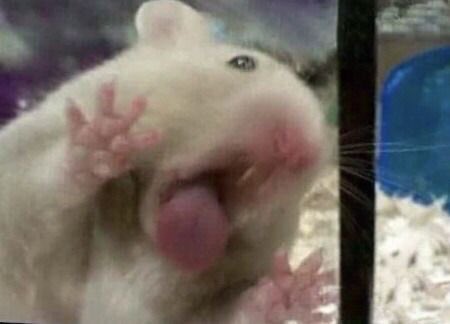 [잡담] 빅히트가....나를....변..태로....보는것같....아요........... | 인스티즈
