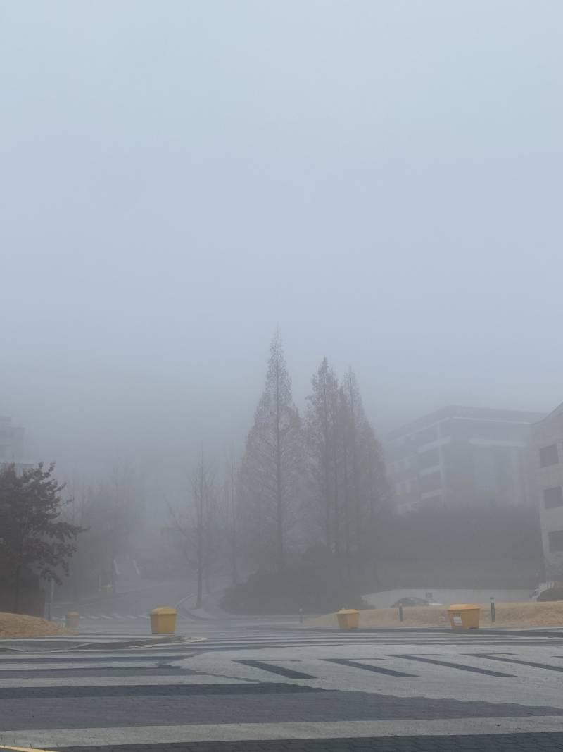 아니 학교 왔는데 안개 무슨 일이야 | 인스티즈