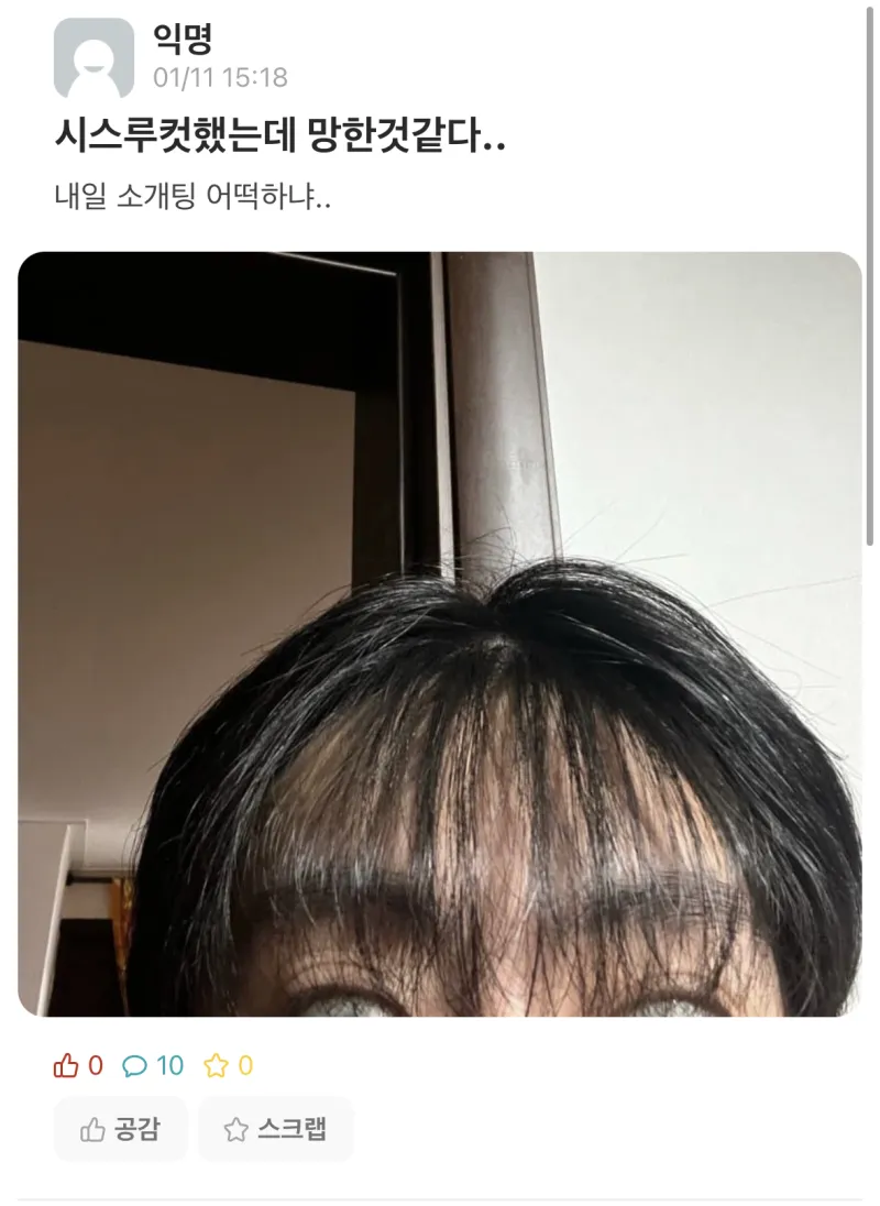 시스루컷 망해버린 에타인(사진주의) | 인스티즈