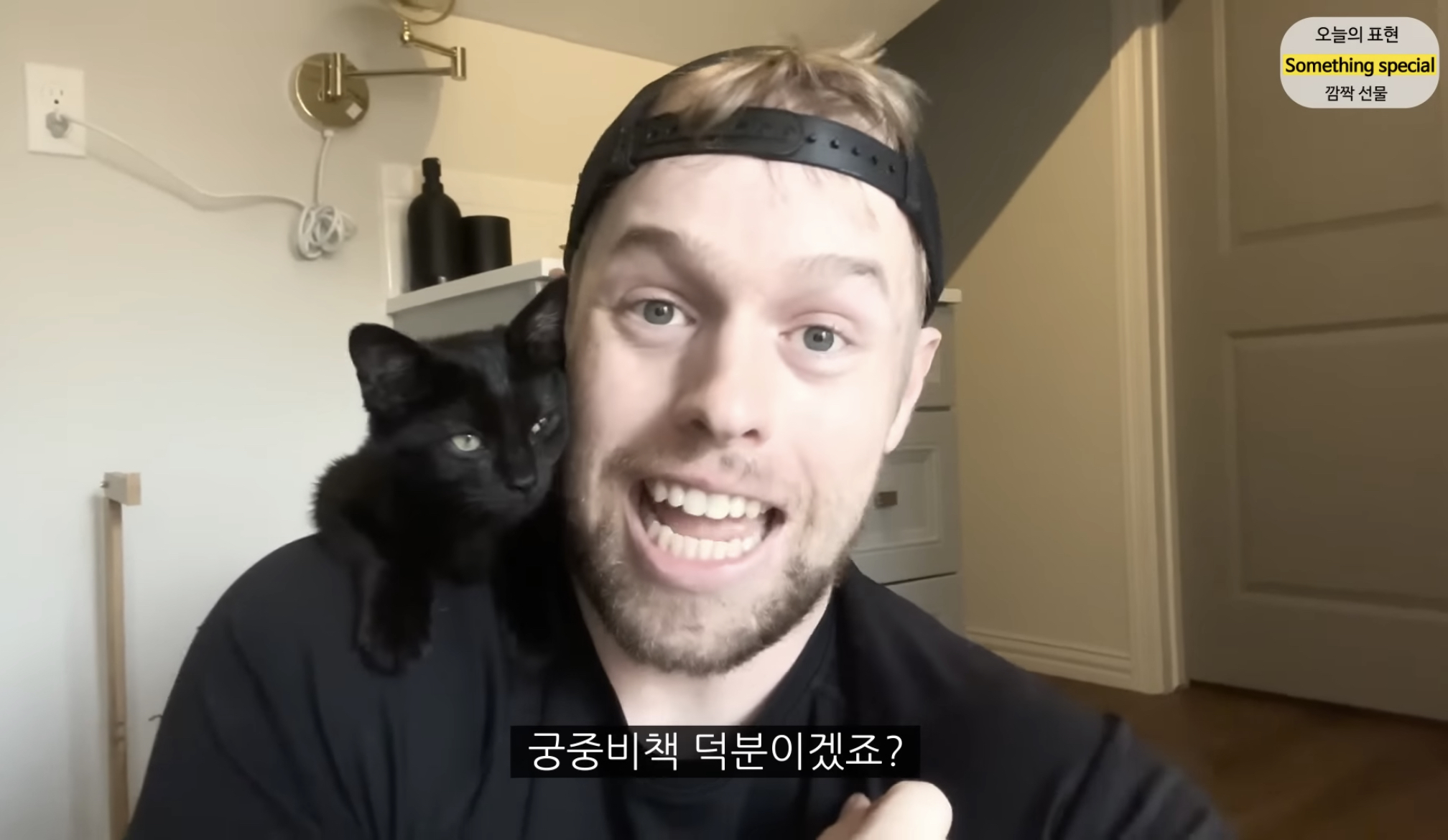 [잡담] 올리버쌤이 숲에서 구조한 새끼 고양이인데 ㅋㅋㅋㅋ | 인스티즈