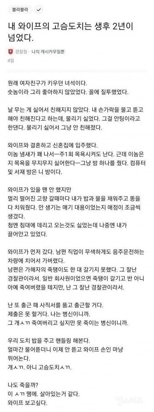 내 와이프의 고슴도치는 생후 2년이 넘었다. | 인스티즈