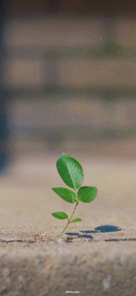 [잡담] 엑소 일코 / 일코 해제 고화질 배경화면 모음 (스압주의) | 인스티즈