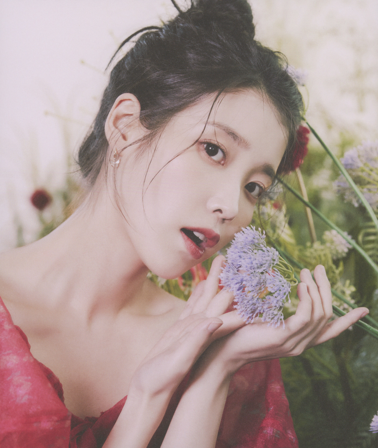[잡담] 아이유 이번 시그 사진 | 인스티즈