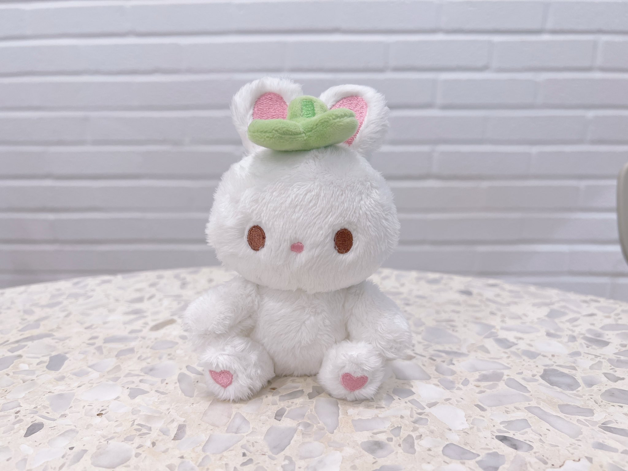 [잡담] 인형 살말 골라주라!! | 인스티즈