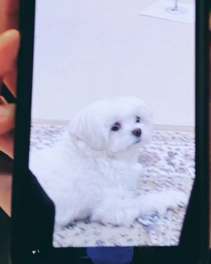 [잡담] 승관이의 축복이 끝도 없네.. | 인스티즈