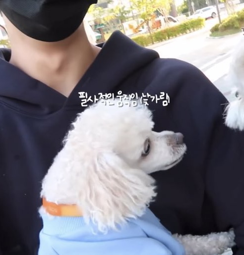 [잡담] 이거 위버스 처음 접한 더비들 | 인스티즈