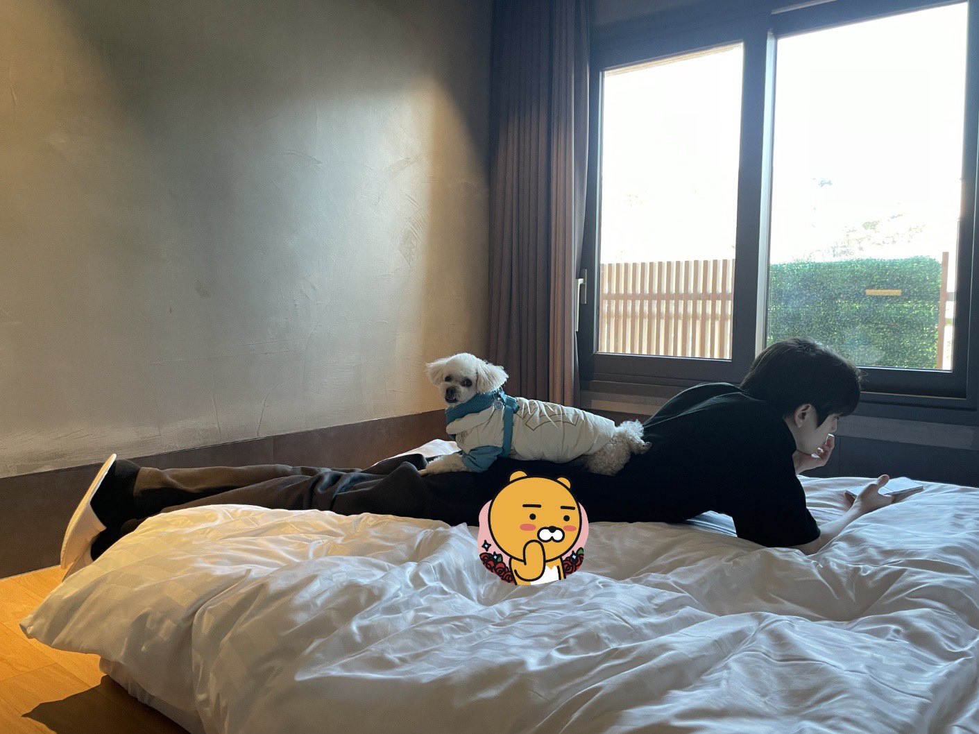 [잡담] 영훈왕자 보리공주 | 인스티즈