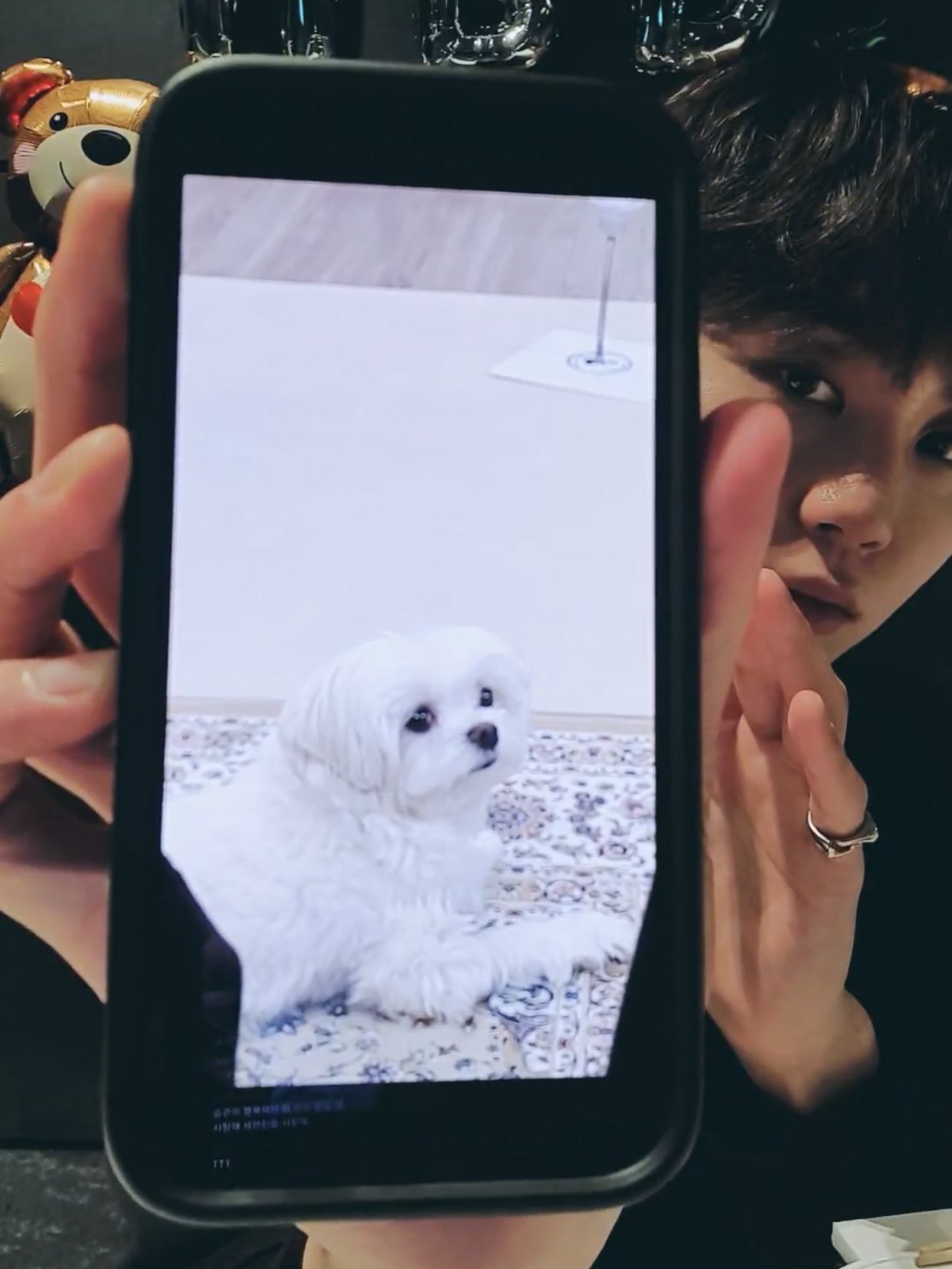 [잡담] 강아지랑 표정 동기화 되는 승관이 | 인스티즈