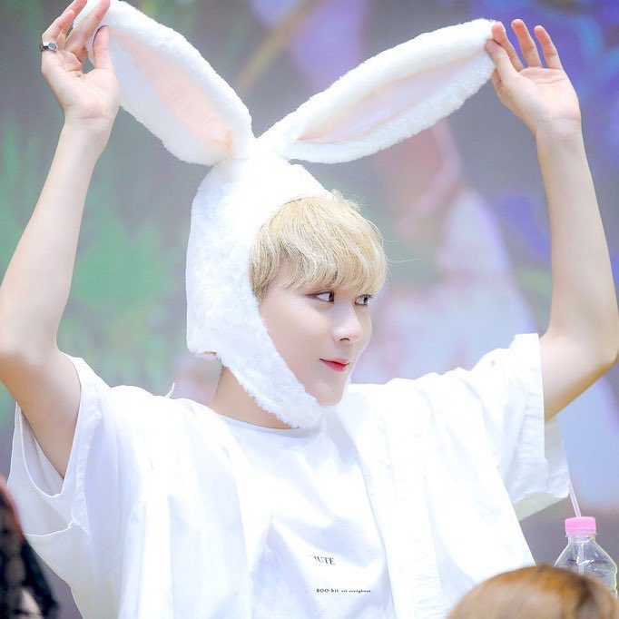[잡담] 세븐틴 승관 토끼파가 눈을 뜨고 살아있는데 | 인스티즈