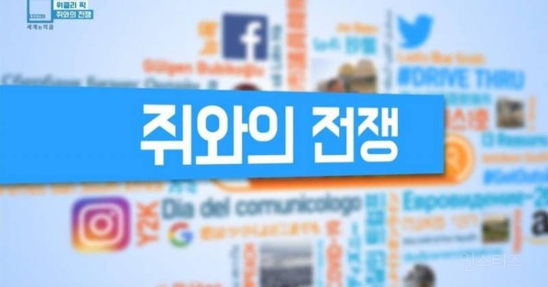 (혐오주의)우리나라 비둘기는 귀여워 보일 정도로 난리난 뉴욕.jpg | 인스티즈