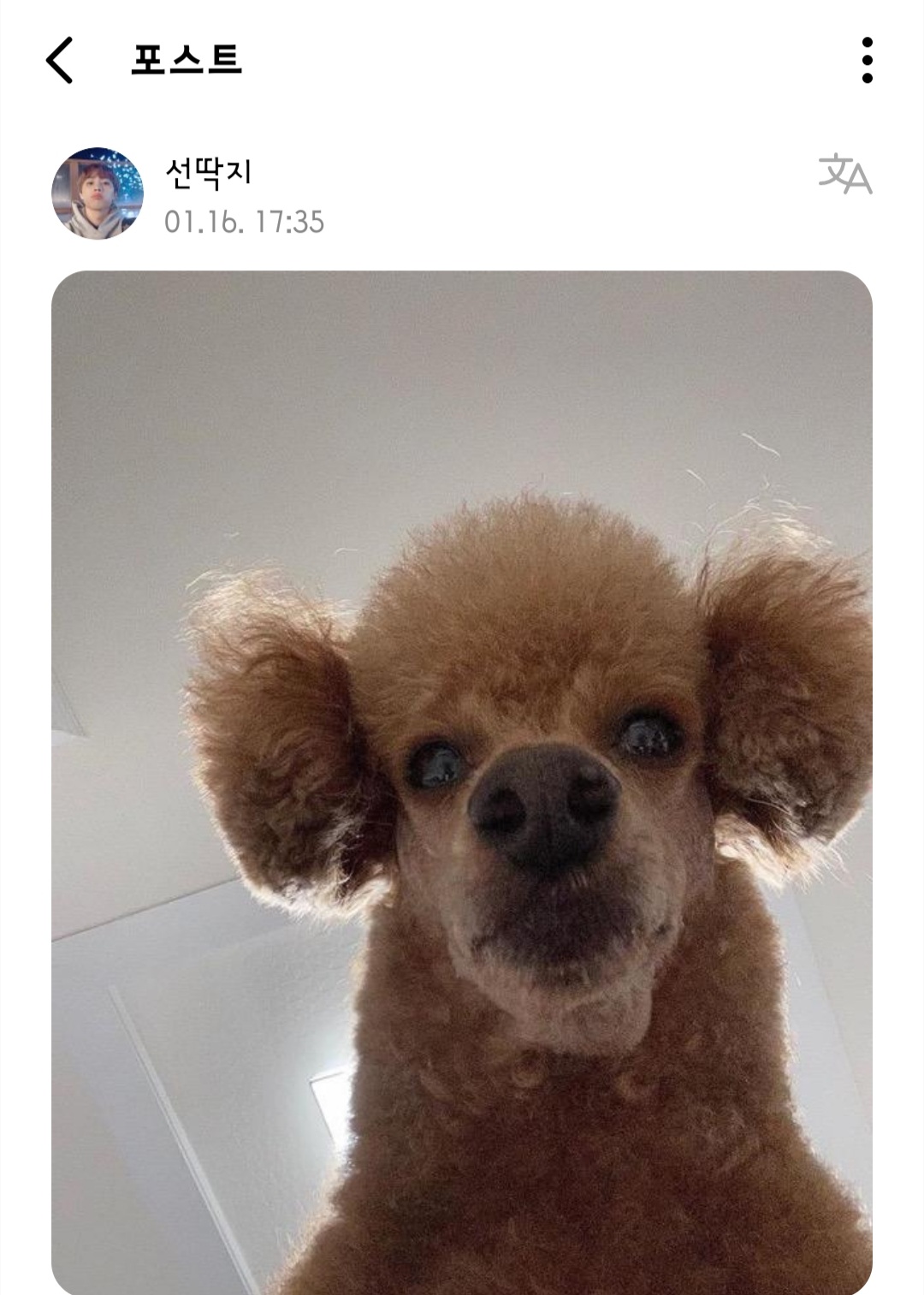 [잡담] 큐 위버스 들어가자마자 | 인스티즈