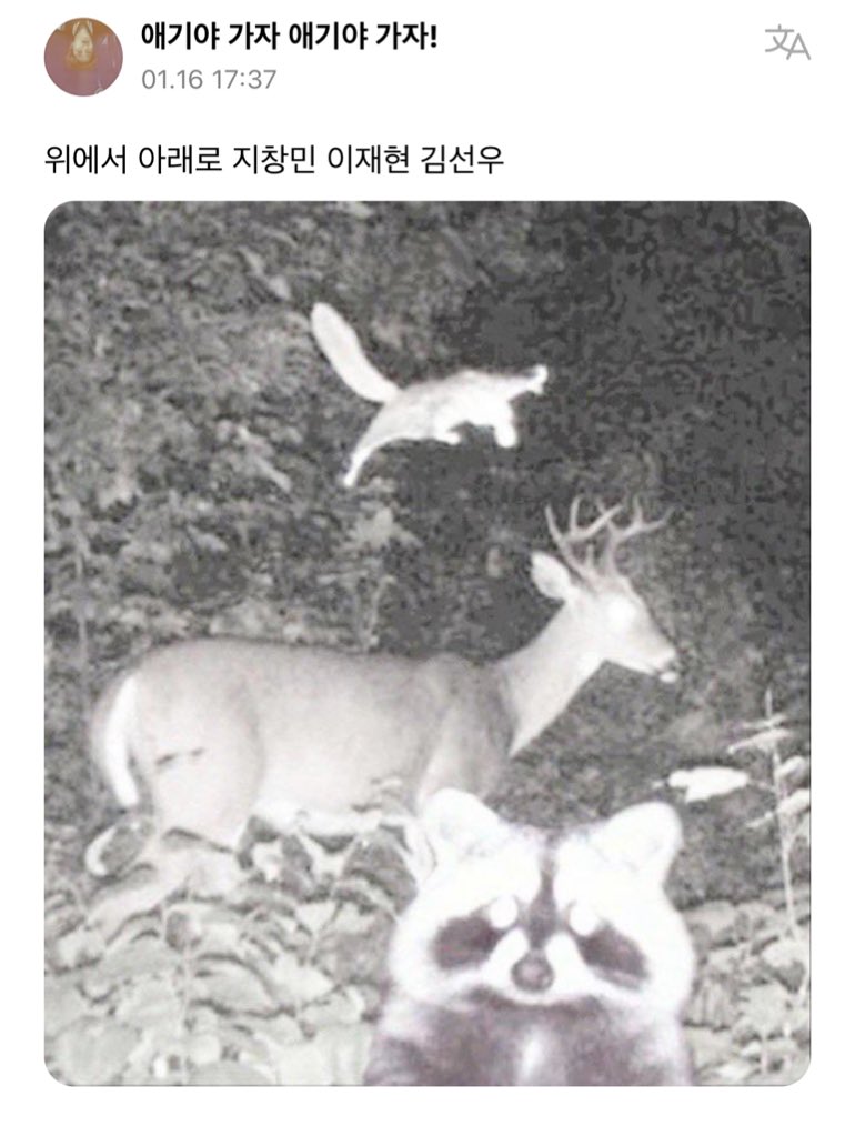 [잡담] 위버스 원래 이런 분위기였어..? | 인스티즈