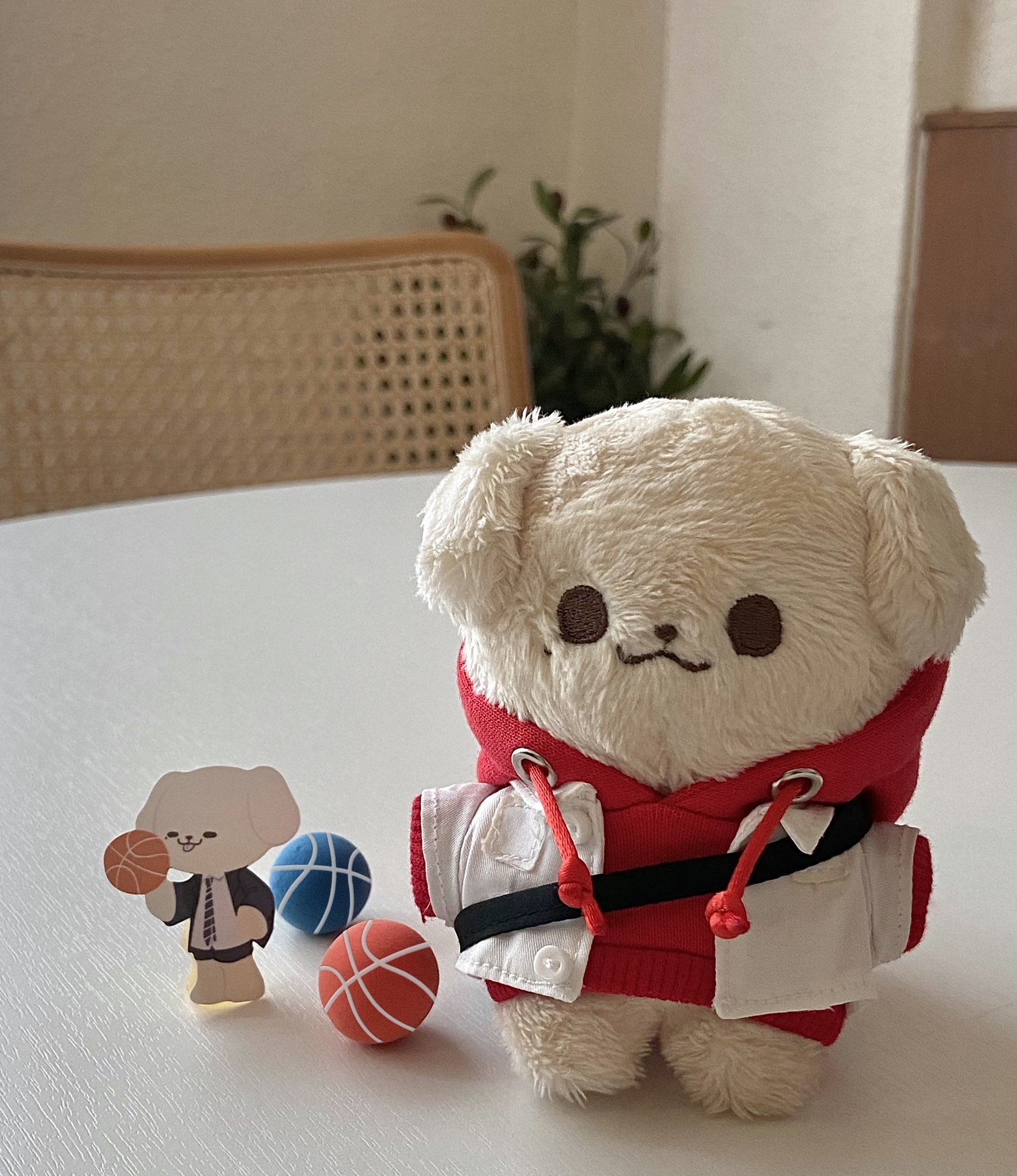 [잡담] 인형은 타팬들이 골라줘야한다며,,,? | 인스티즈