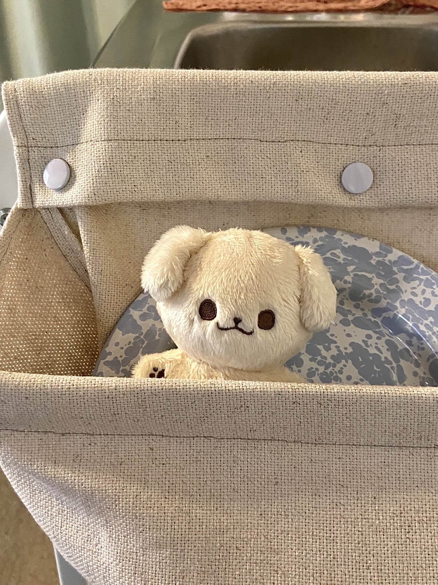[잡담] 인형은 타팬들이 골라줘야한다며,,,? | 인스티즈