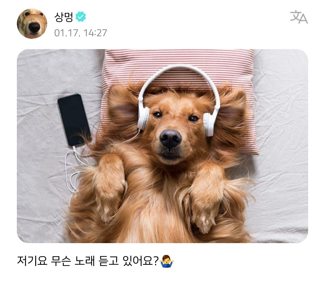 [잡담] 나의 작고 소중한 개그맨 | 인스티즈