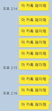 카톡 오류 때문에 도배해버림... | 인스티즈