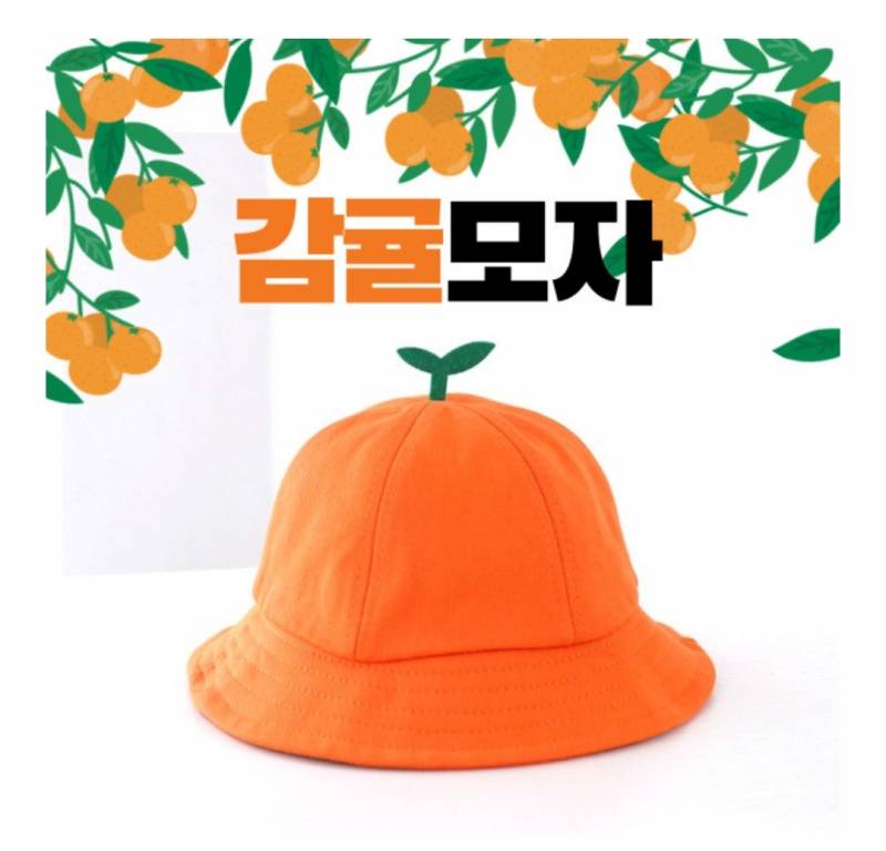 제주도 가는데 귤모자 살말? | 인스티즈