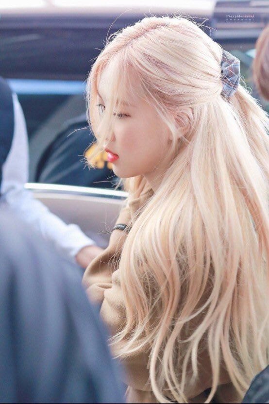 [잡담] 내가 미치도록 사랑하는 로제 분위기 | 인스티즈