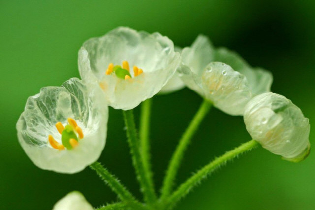 [잡담] 윤정한 ㄹㅇ 산하엽같이 생김 | 인스티즈