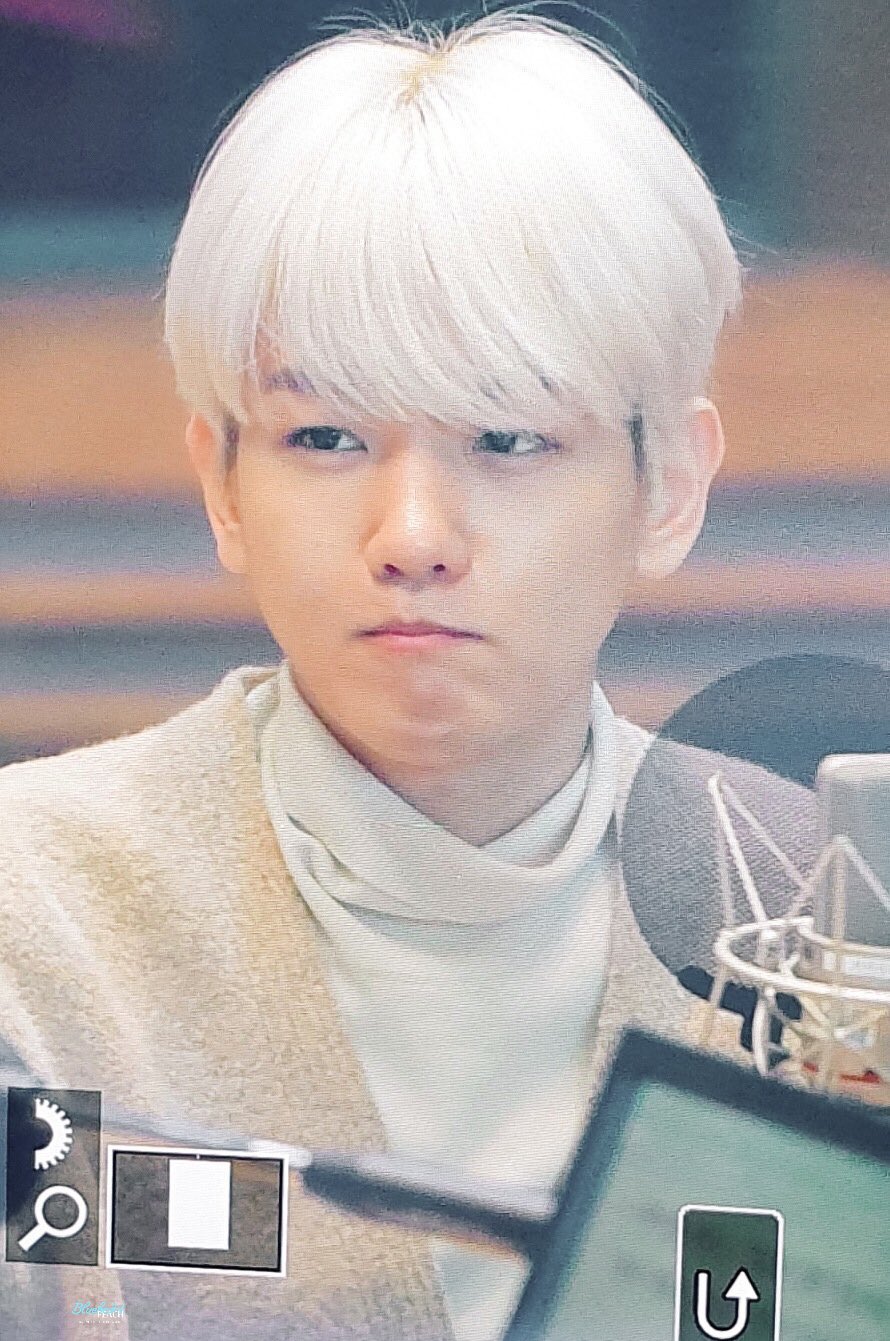 [잡담] 백현이 강아지였던 날 | 인스티즈