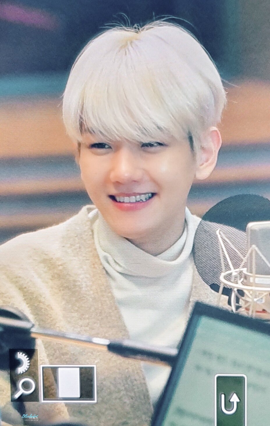 [잡담] 백현이 강아지였던 날 | 인스티즈
