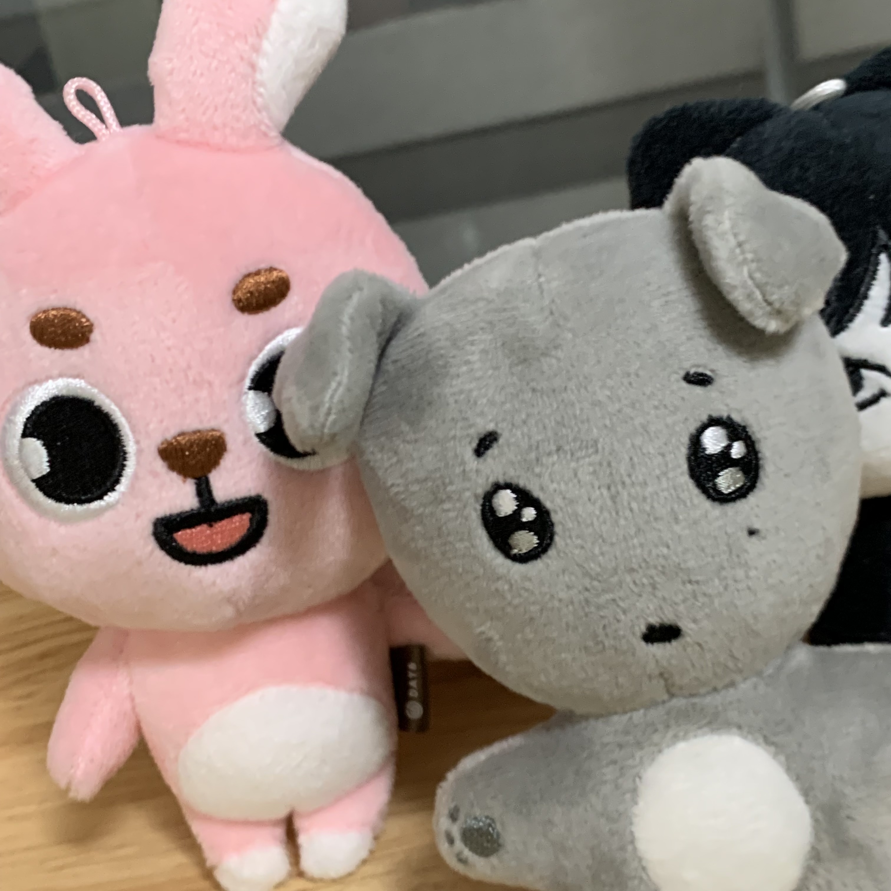 [잡담] 필끼 마물쭈 겸도그를 다 가진 여자로 거듭나다 | 인스티즈