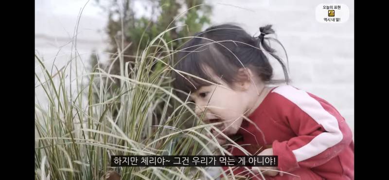 고양이 따라 풀뜯어먹는 체리(아기) 넘 귀엽다… | 인스티즈