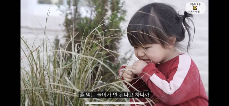 고양이 따라 풀뜯어먹는 체리(아기) 넘 귀엽다… | 인스티즈