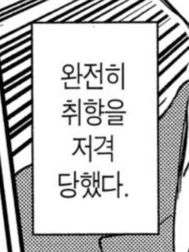 따끈따끈 안개 셀린 헤어 후기(영업)글 ❤️‍🔥 | 인스티즈
