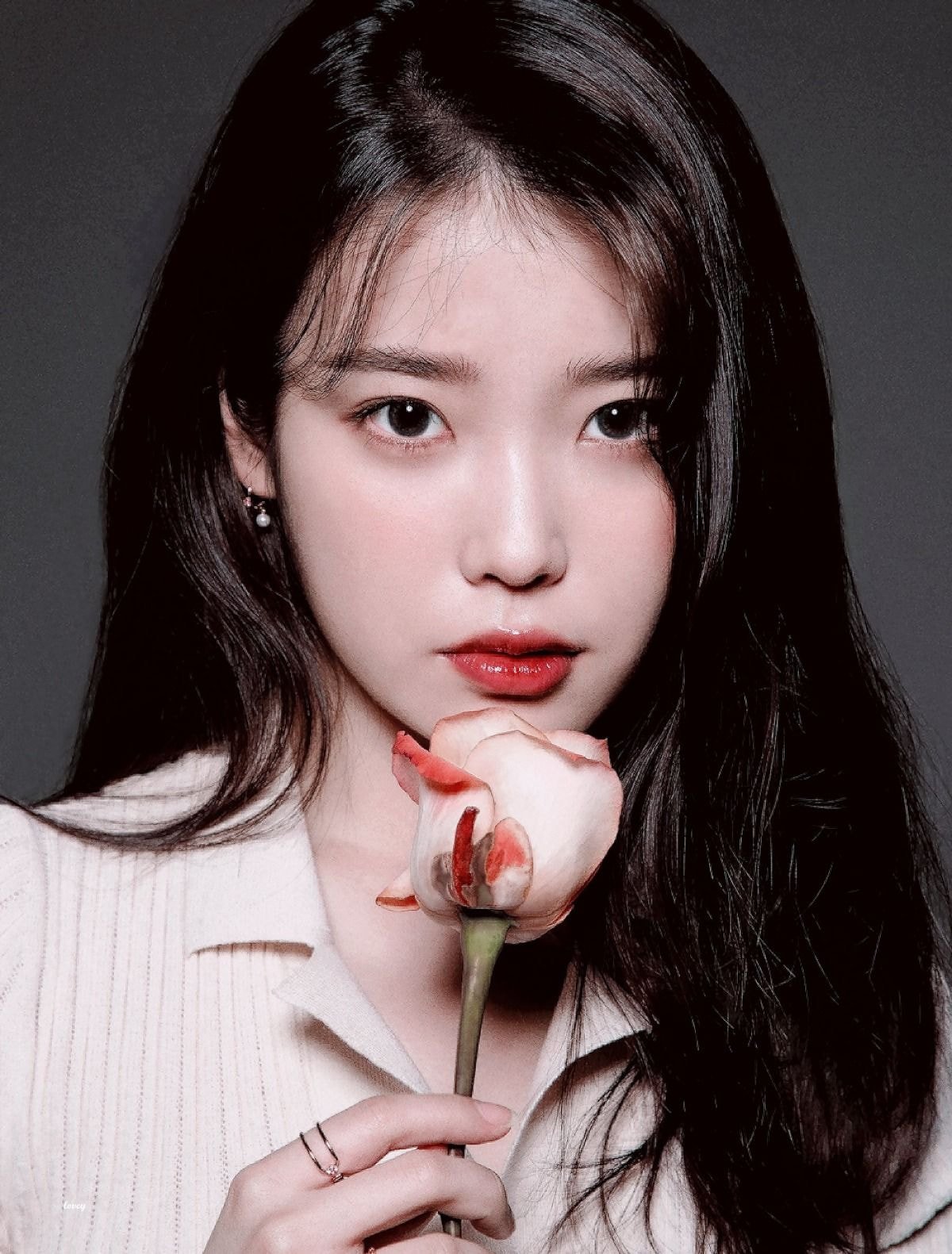 [정보/소식] 서울가요대상에서 한번도 대상 받은 적이 없는 가수.jpg | 인스티즈