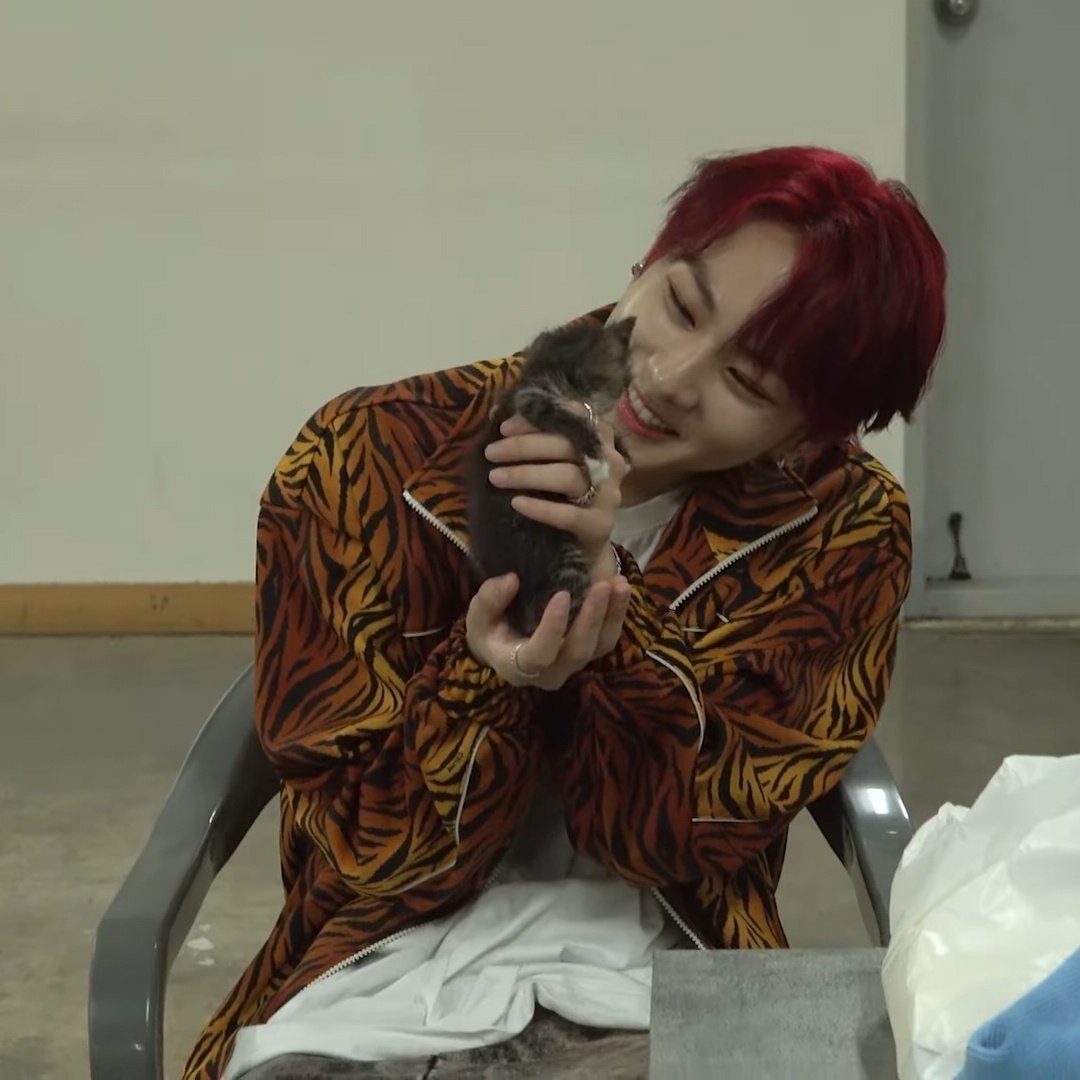 [잡담] 강아지 좋아하는 아기고양이 | 인스티즈