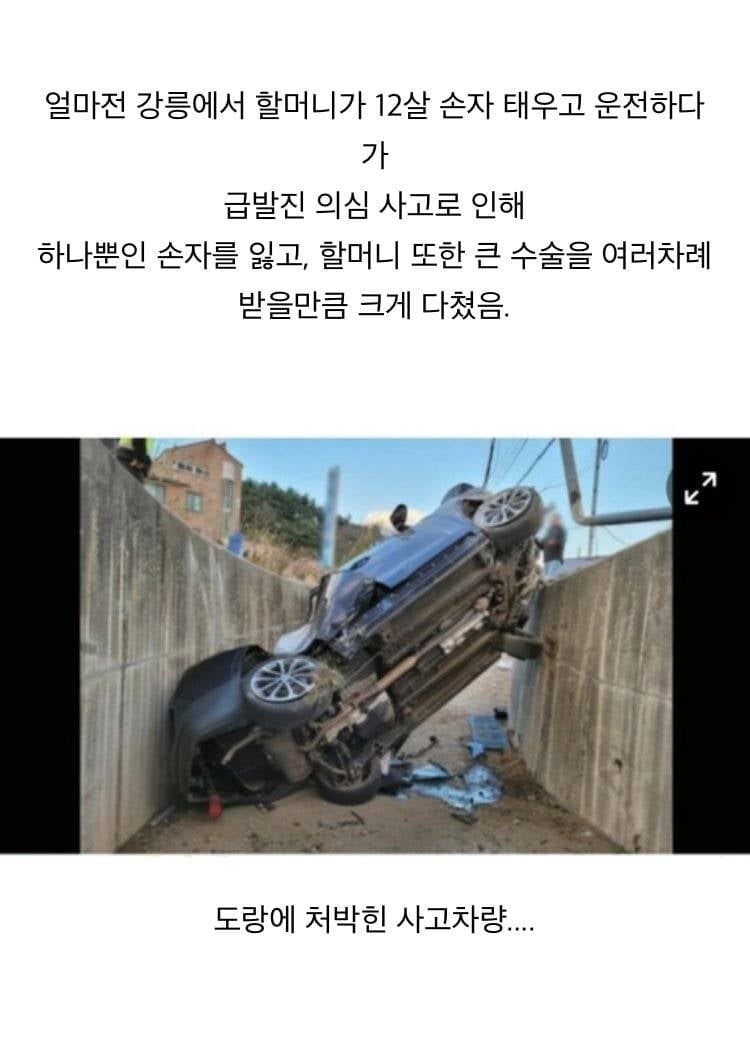 현재 난리난 강릉 급발진 사고 | 인스티즈