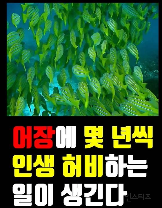 남녀사이에 친구로 지내는게 쌉 가능한 이유 | 인스티즈