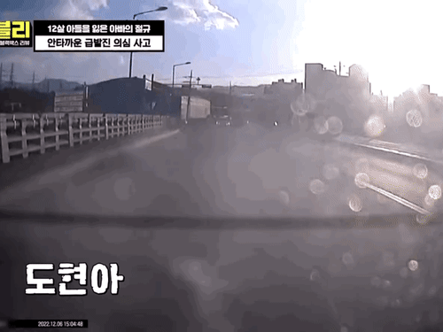 현재 난리난 강릉 급발진 사고 | 인스티즈