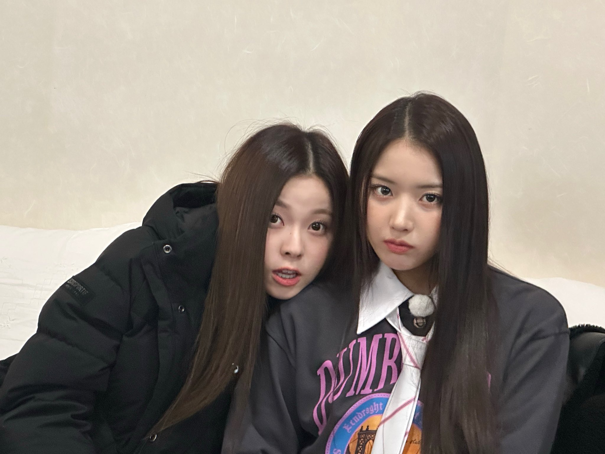 [잡담] 지우 규지니 닮았는데 안닮았음ㅋㅋㅋ | 인스티즈