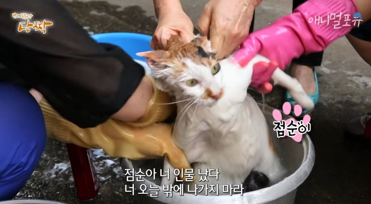 [잡담] 정재현 ... | 인스티즈