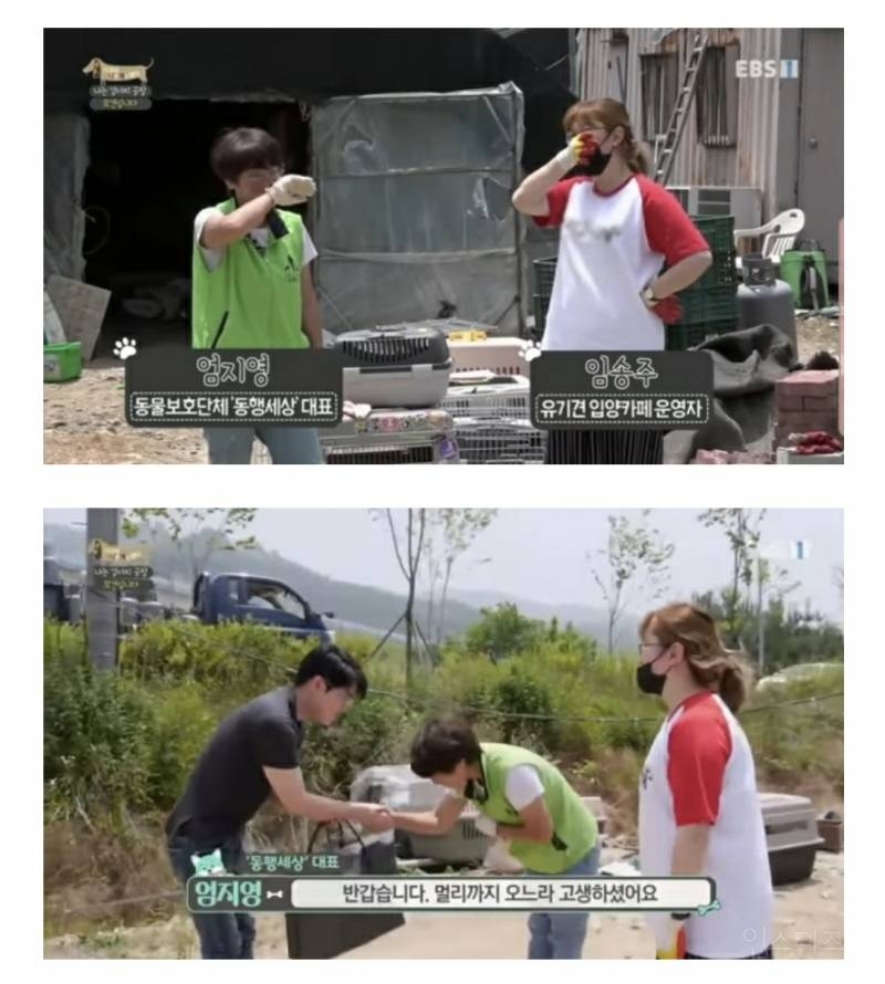 솔직히 펫샵이 어때서ㅠ 난 새끼때부터 함께하고 싶어. 특히 파티 포메라니안 제일 귀여움 | 인스티즈