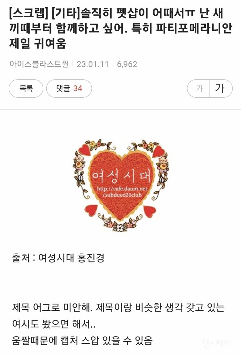 솔직히 펫샵이 어때서ㅠ 난 새끼때부터 함께하고 싶어. 특히 파티 포메라니안 제일 귀여움 | 인스티즈