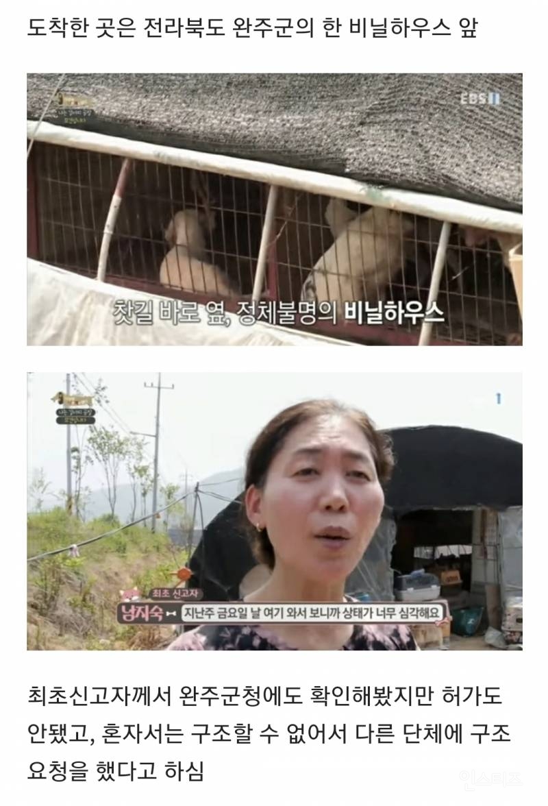 솔직히 펫샵이 어때서ㅠ 난 새끼때부터 함께하고 싶어. 특히 파티 포메라니안 제일 귀여움 | 인스티즈