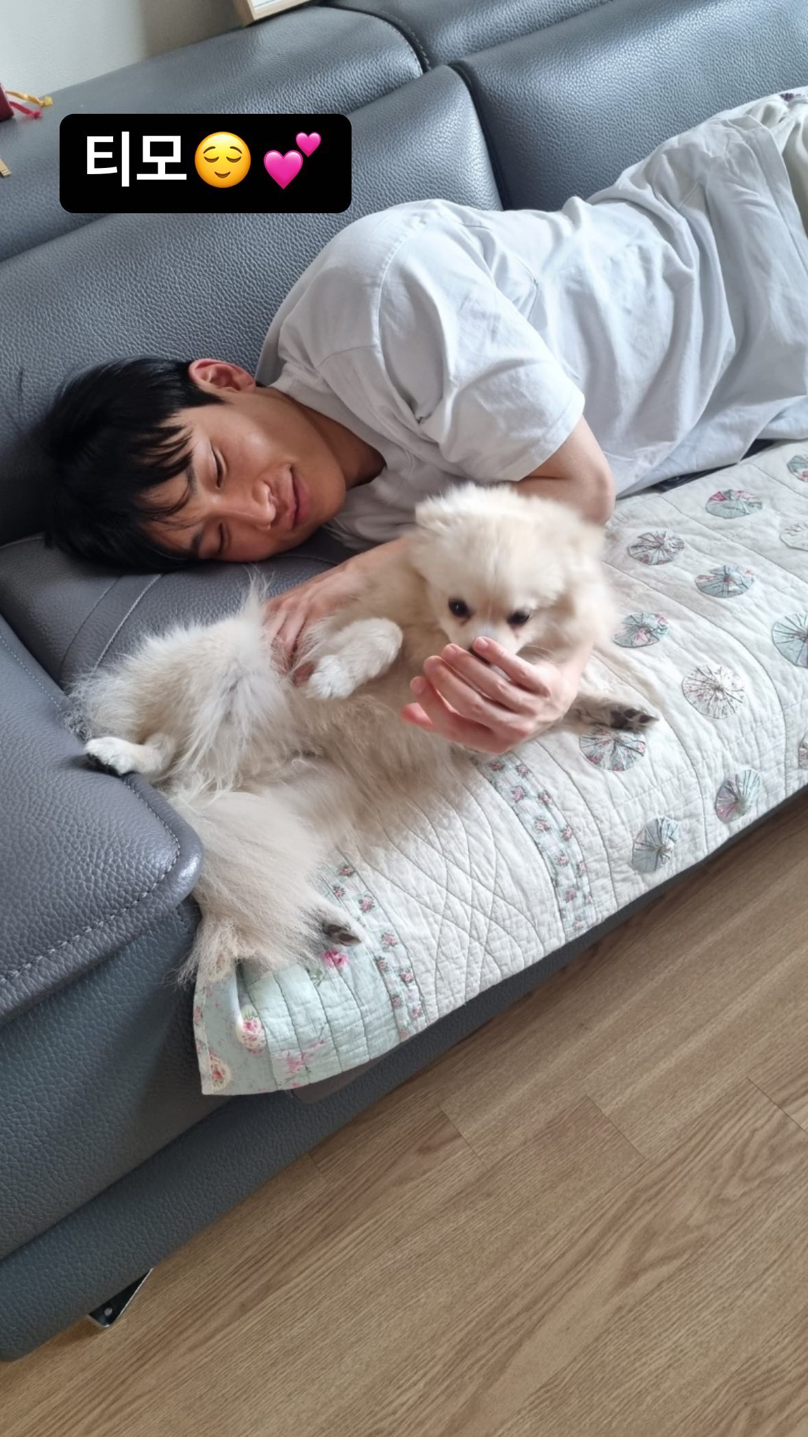 [잡담] 비투비 독방 강아지 출몰중ㅋㅋㅋㅋㅋㅋㅋ | 인스티즈