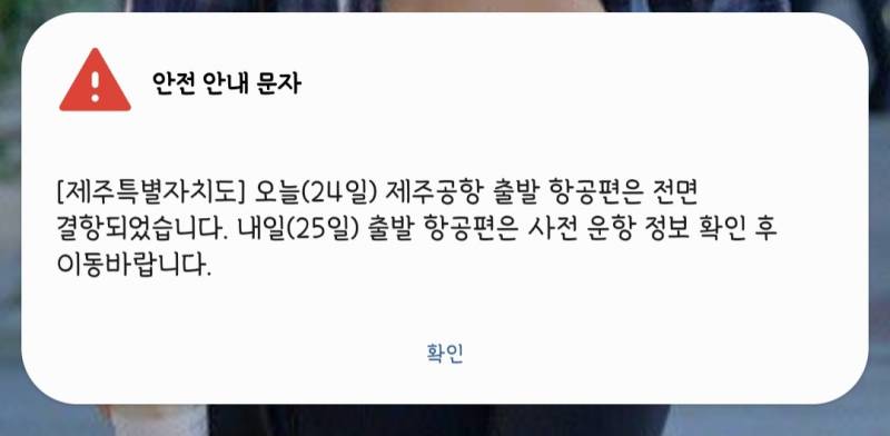 와 제주발 비행기 전면 결항.... | 인스티즈