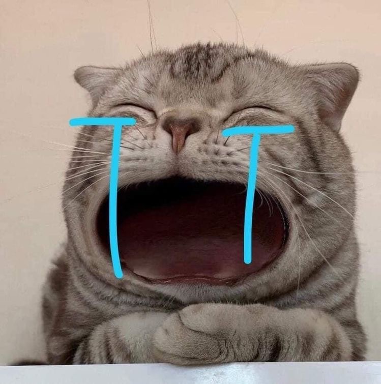 [잡담] 뉴진스가 하입보이 어쿠스틱 버전으로 꼭 불러줬음 좋겠다 | 인스티즈